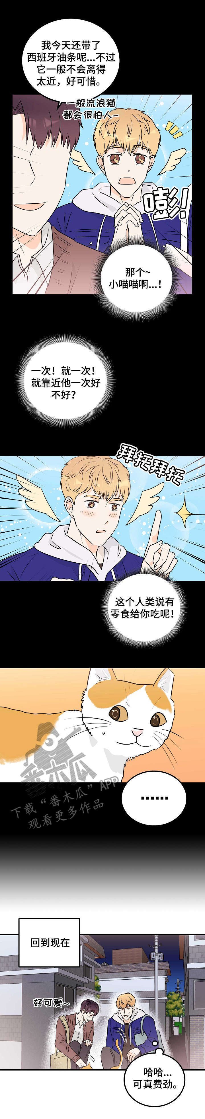 第13章：表白
