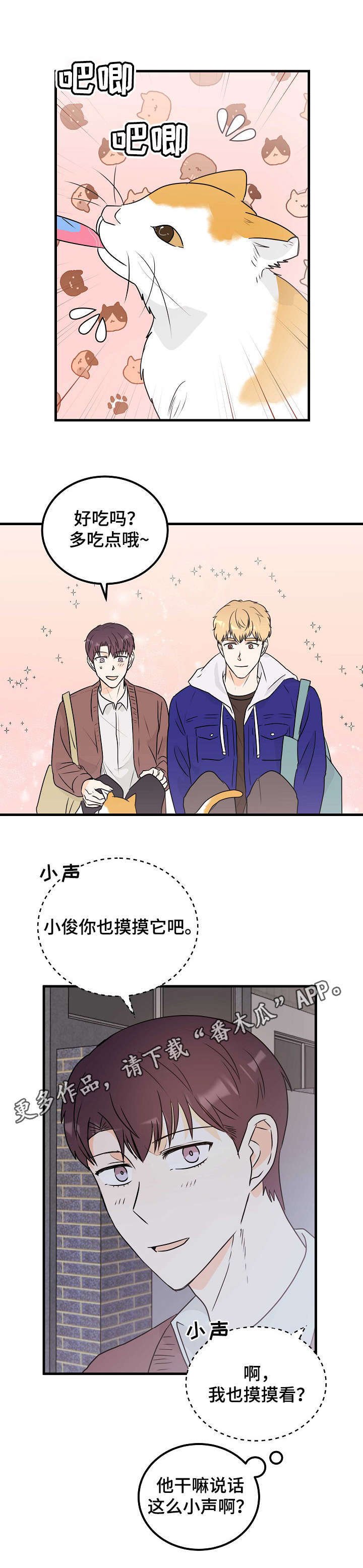 第13章：表白