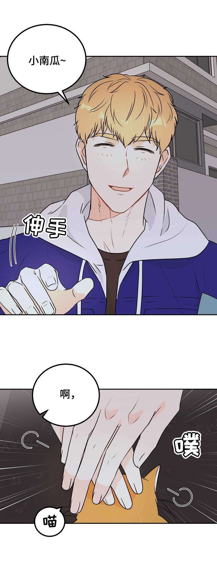 第13章：表白