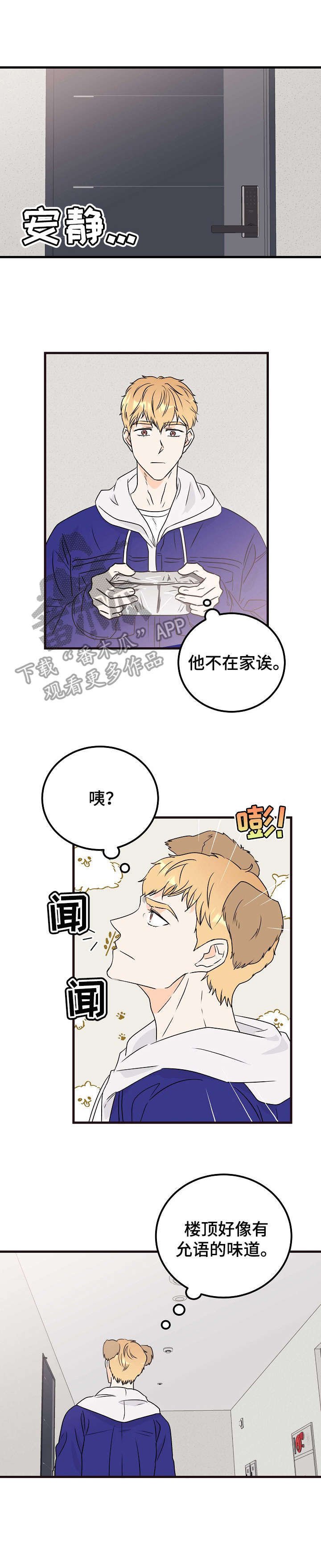 第19章：流浪狗