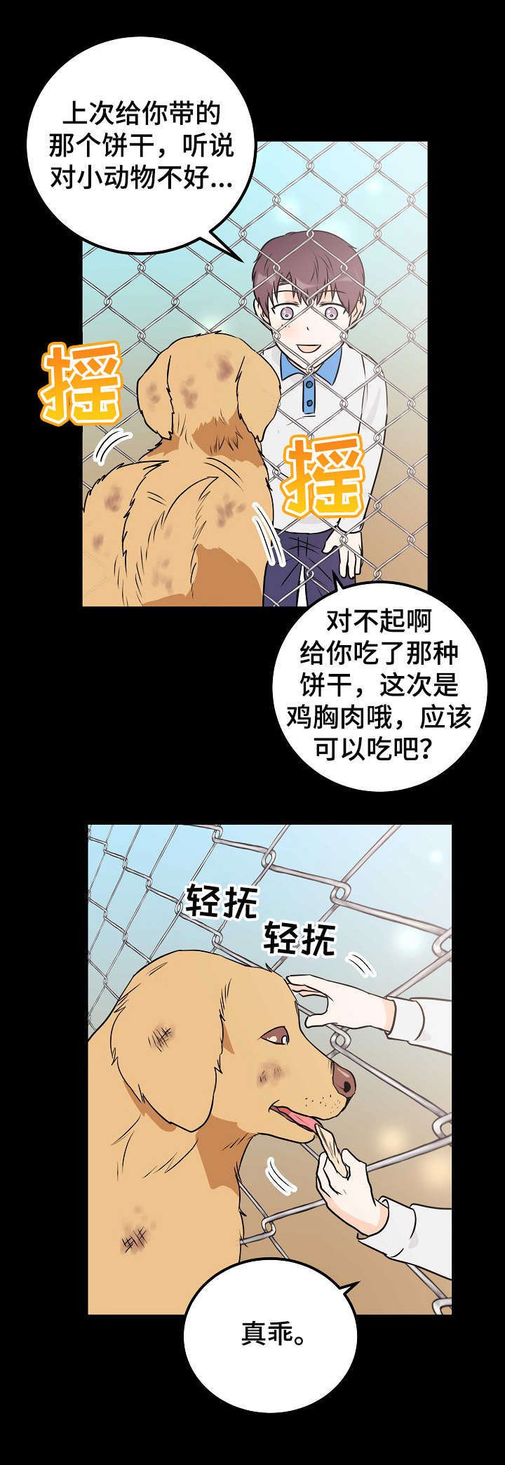第19章：流浪狗