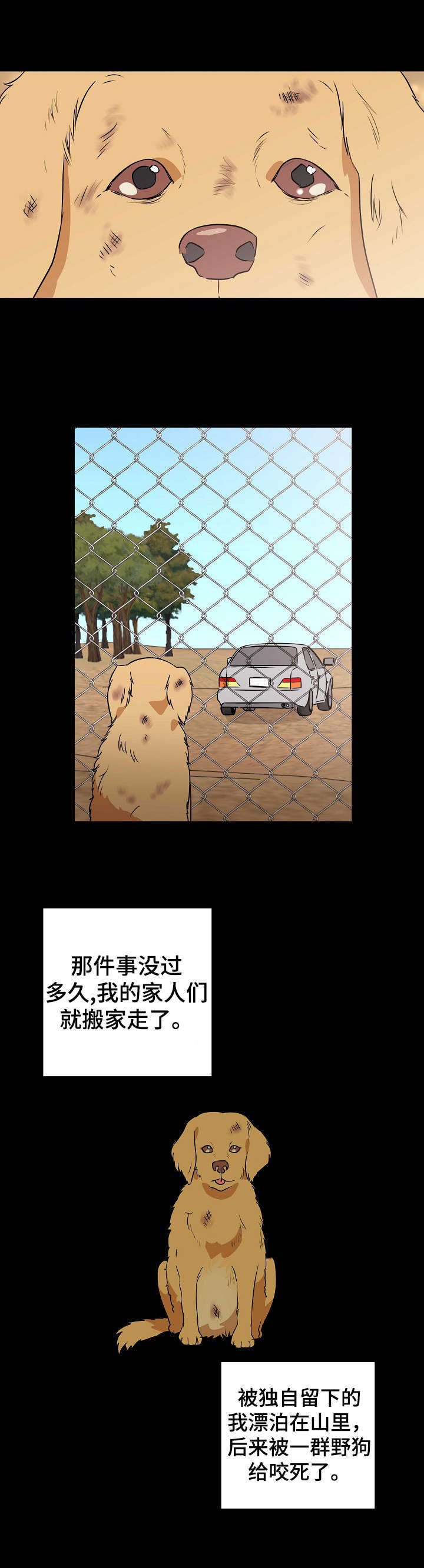 第19章：流浪狗