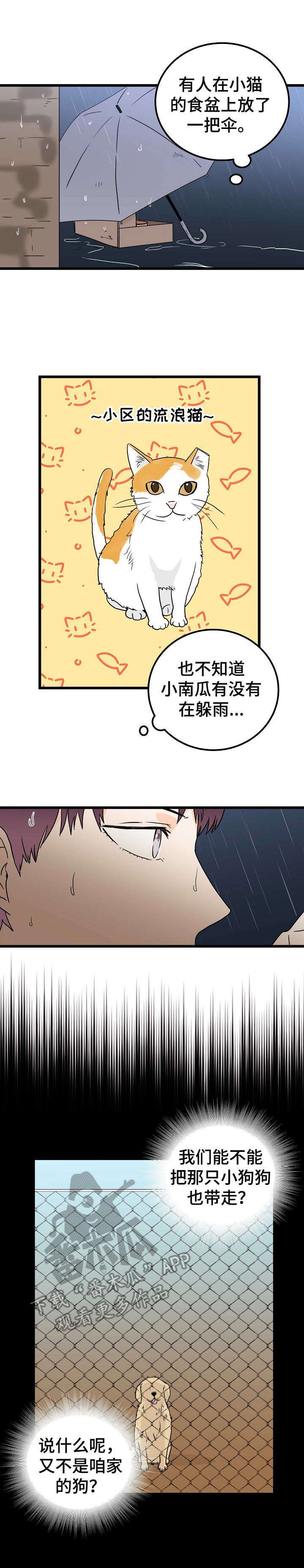 第2章：耀眼
