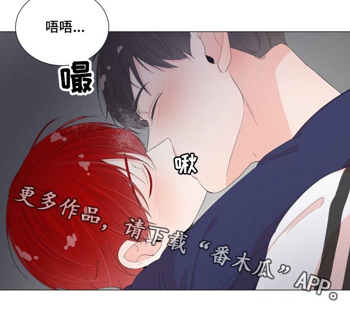 第40章：你的回答