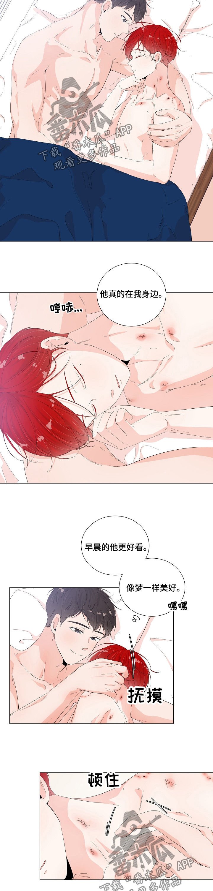 第41章：怎么回事