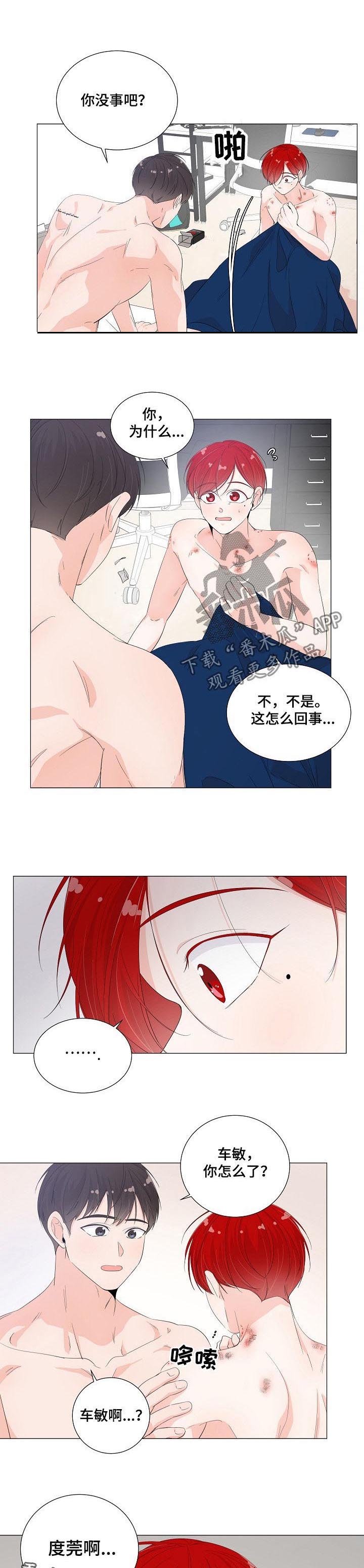 第41章：怎么回事