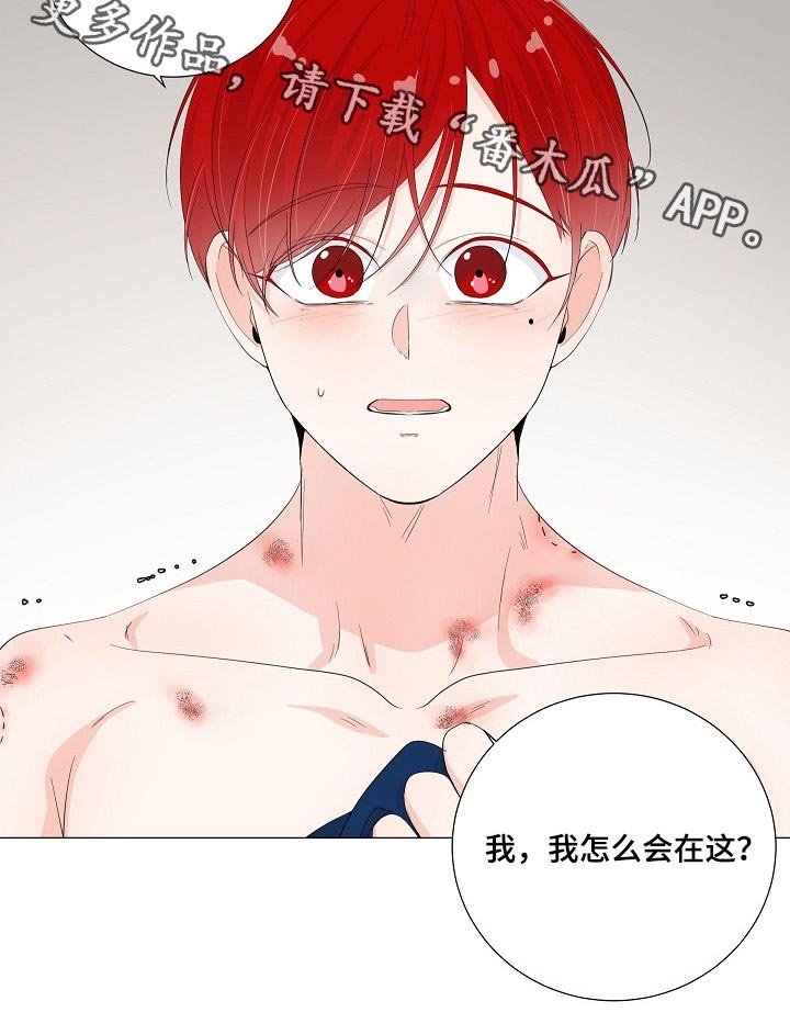 第41章：怎么回事