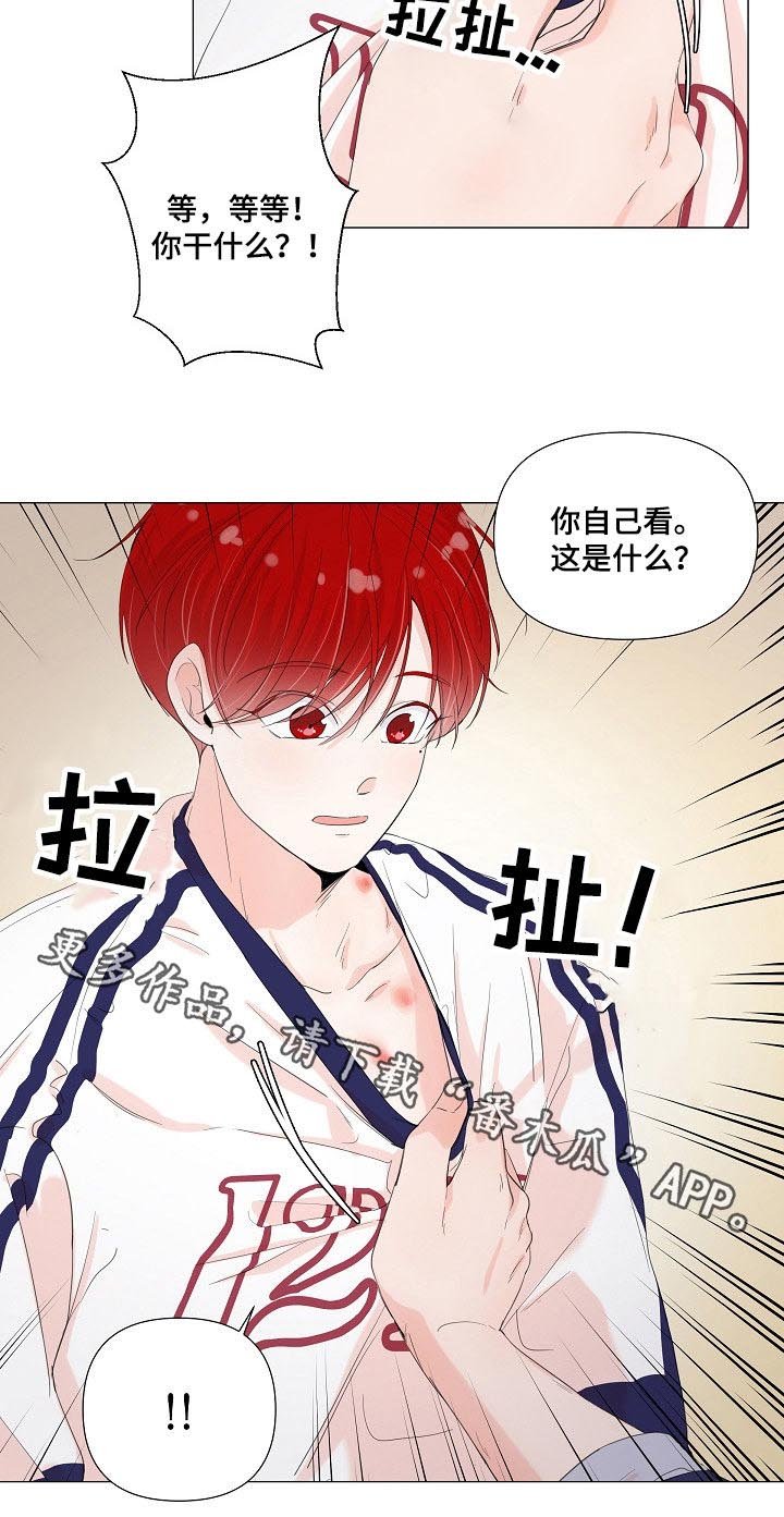 第54章：坦白
