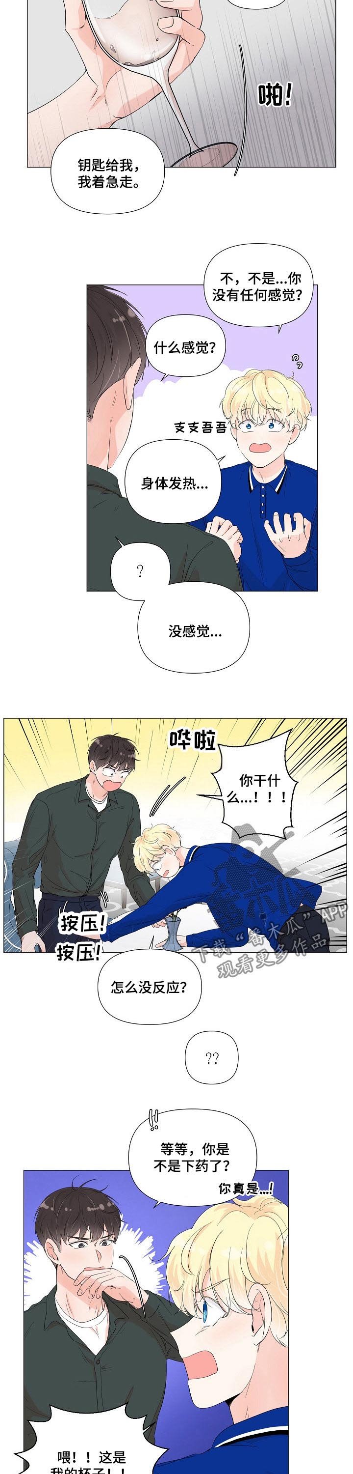 第60章：假药