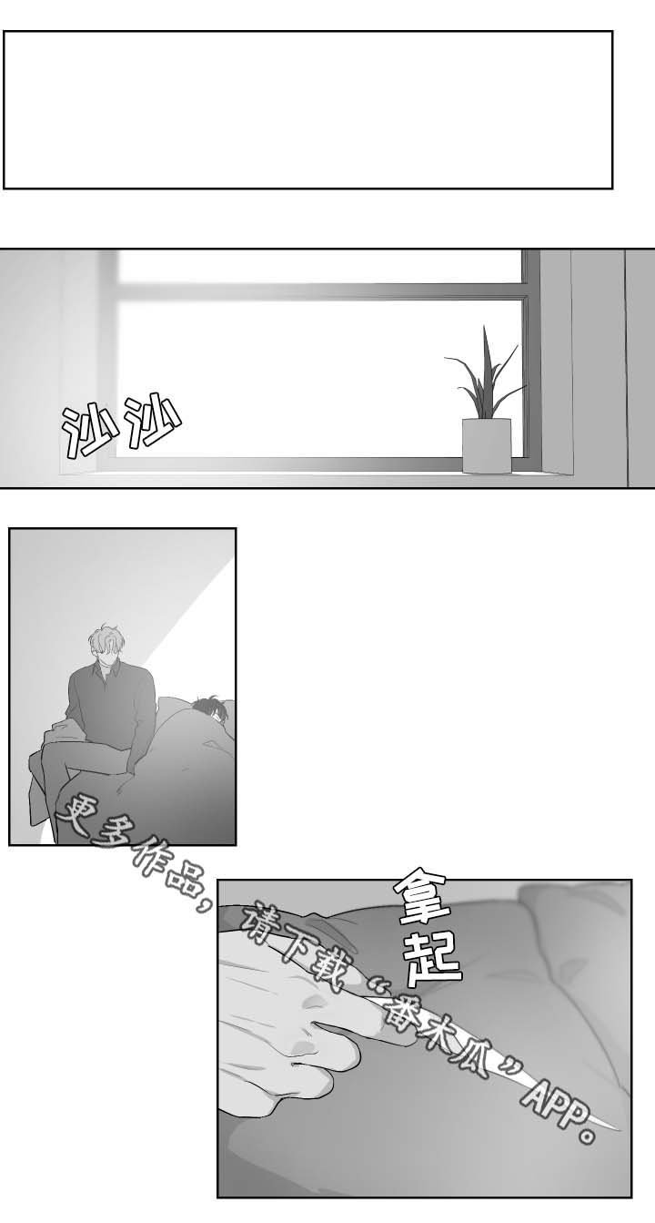 第29章：偶遇