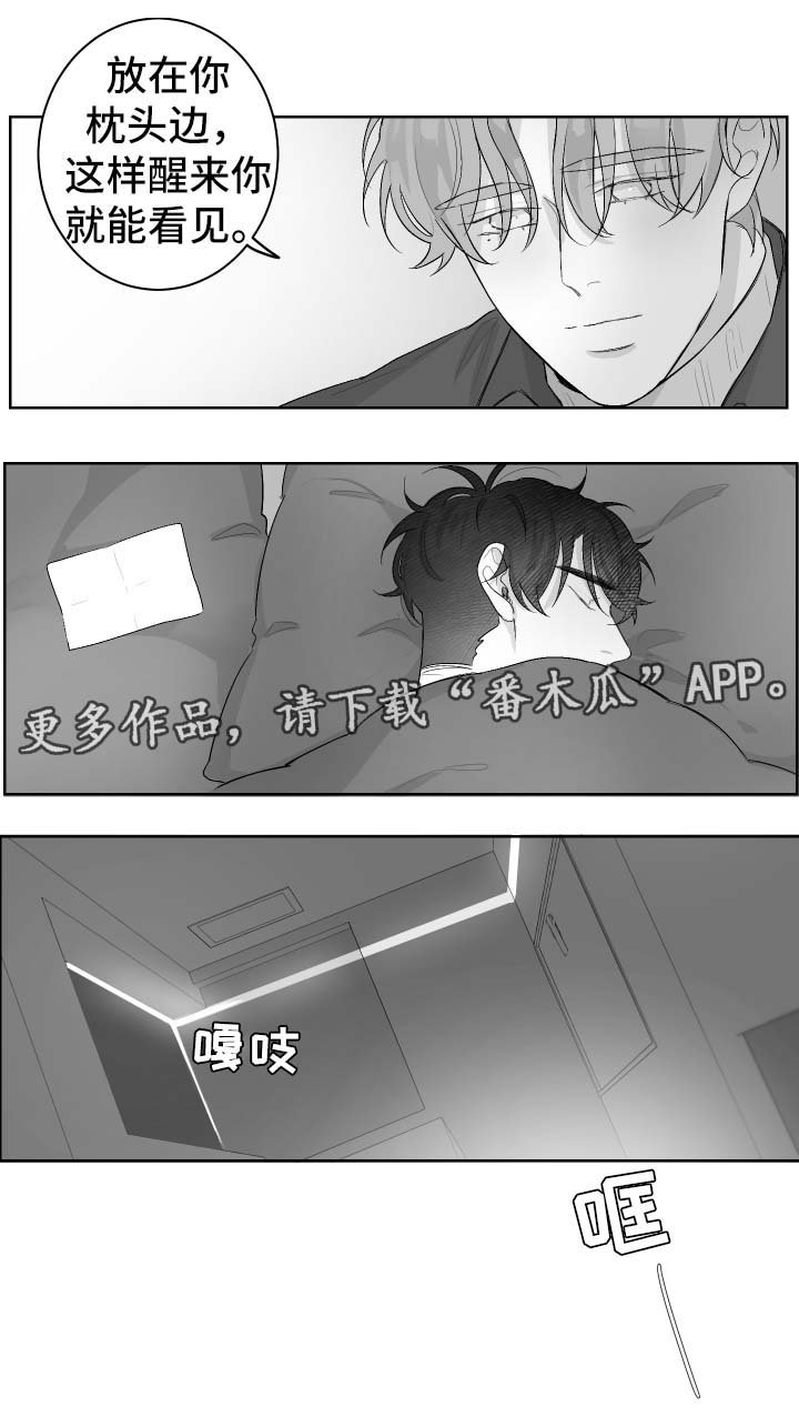 第29章：偶遇