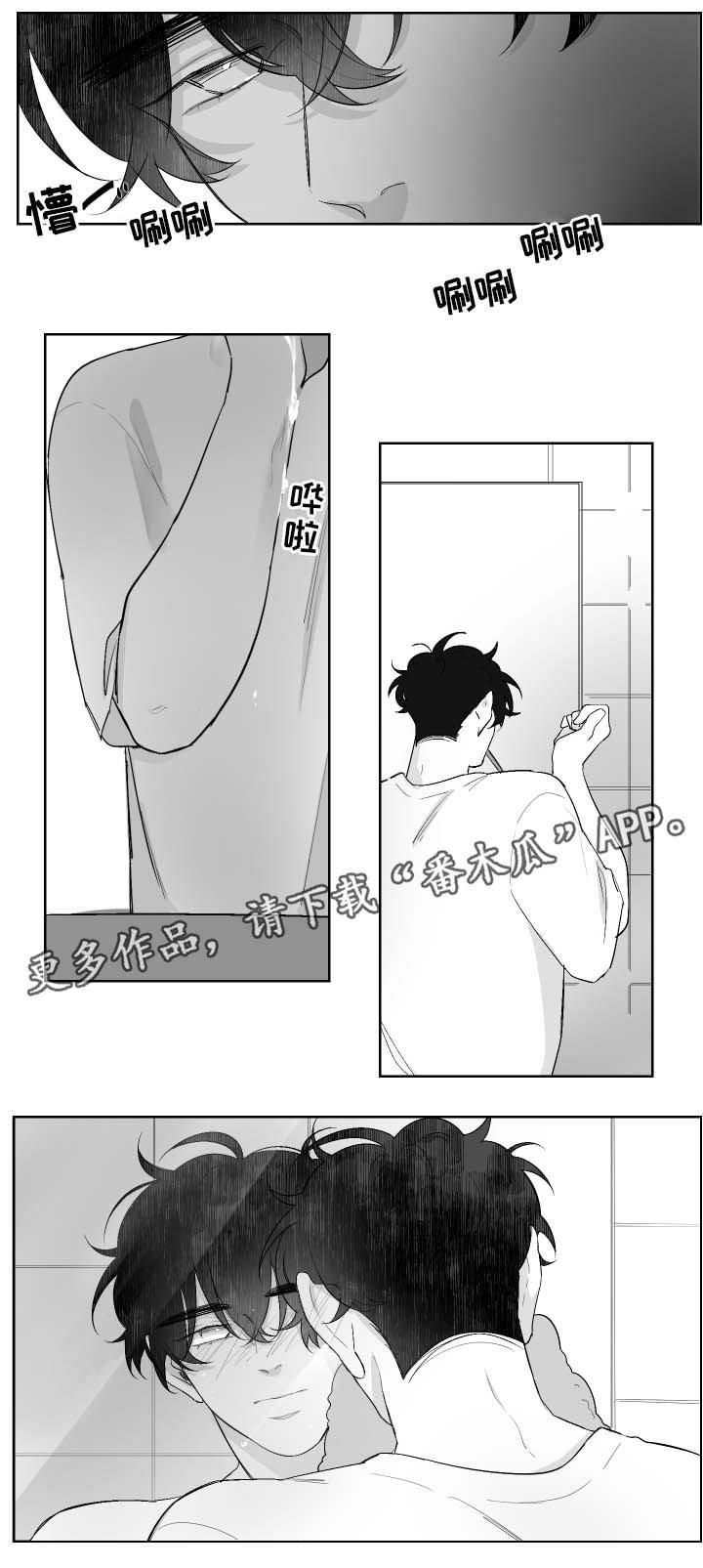 第29章：偶遇