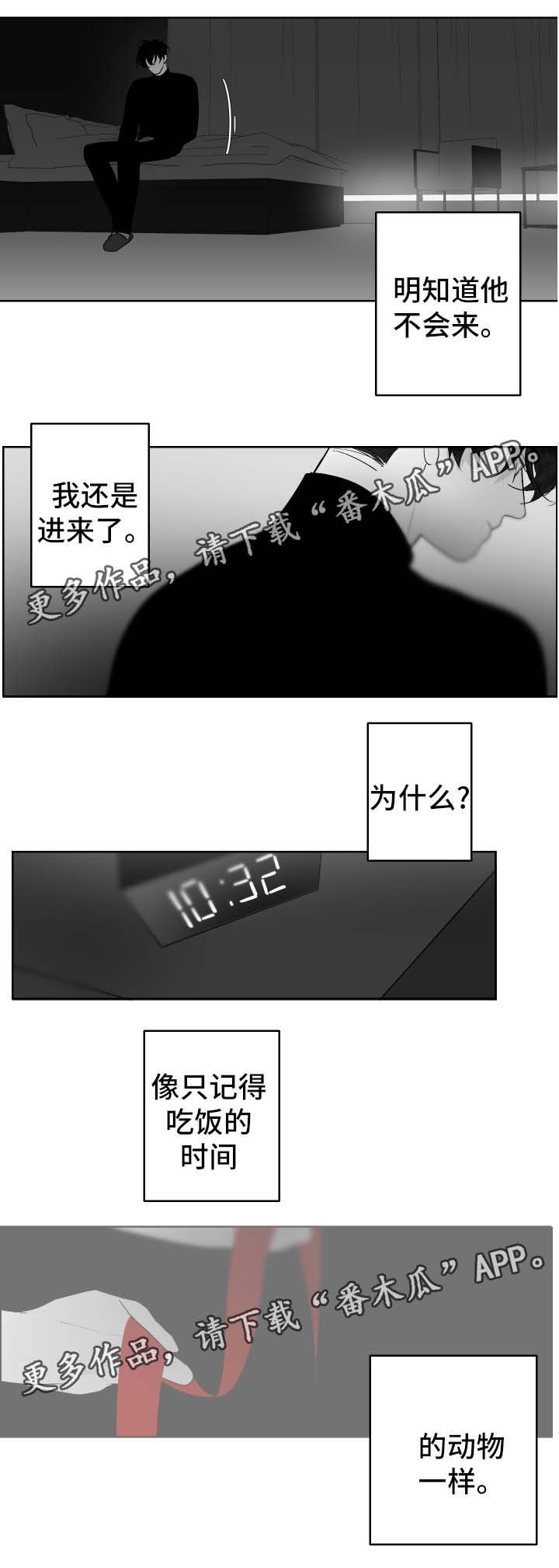 第43章：记忆