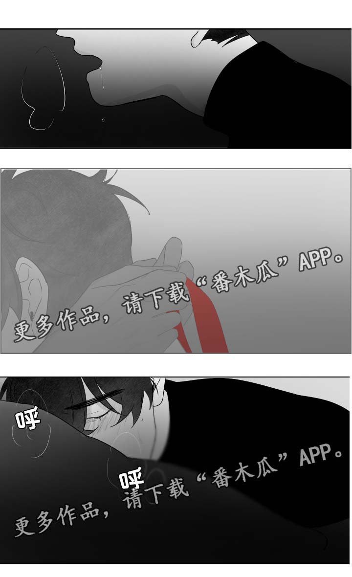 第43章：记忆