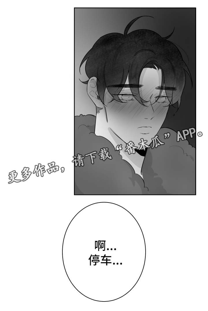 第46章：停车