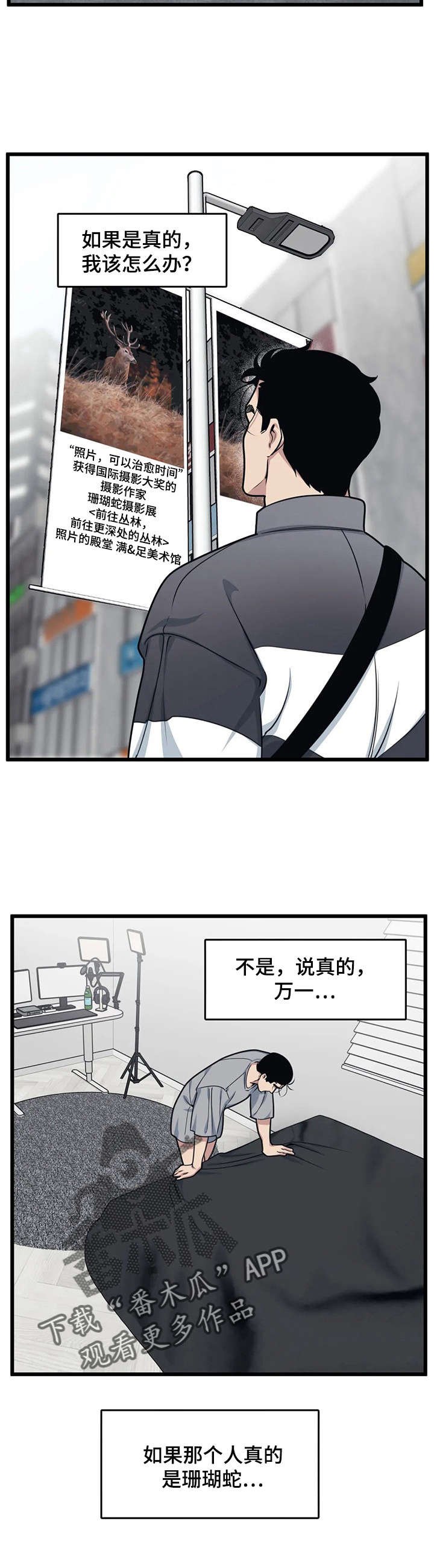 第12章：摄影展