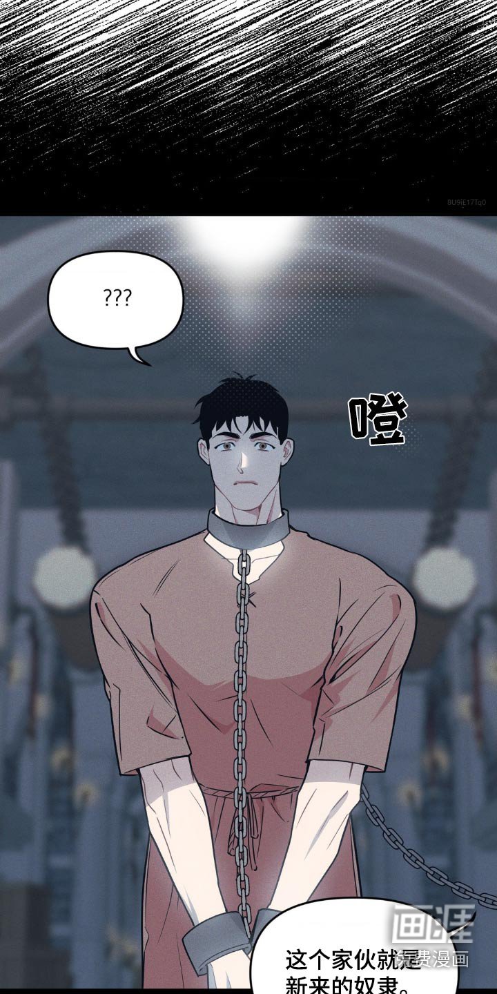 第179章：【番外】创业