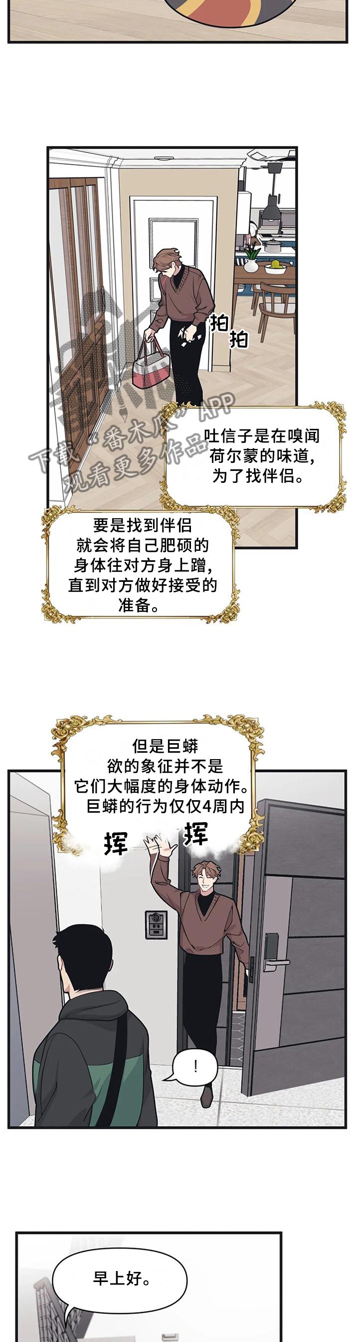 第21章：真的喜欢我吗?