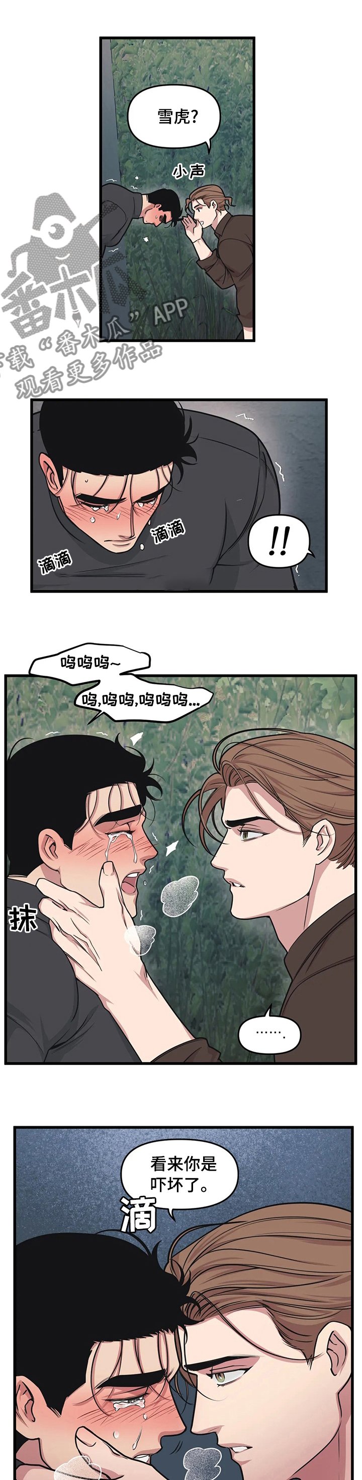 第39章：不一样