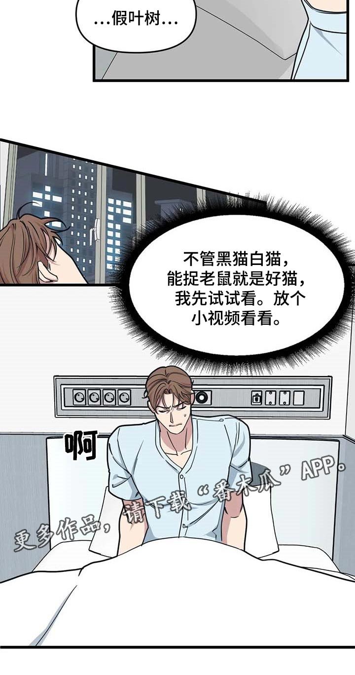 第55章：【第二季】不变的珍贵