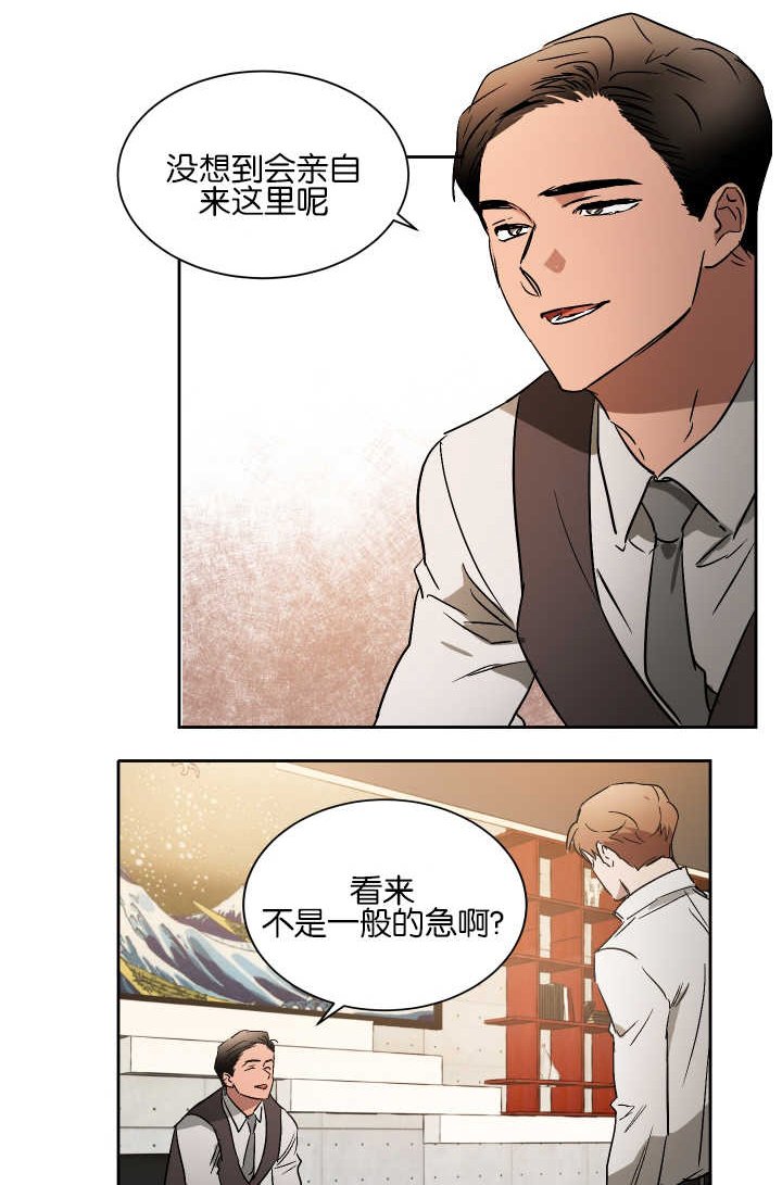 第52章：他的绯闻