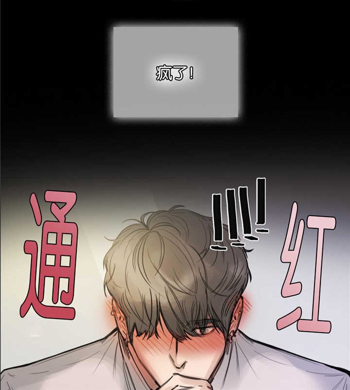 第12章：真是疯了