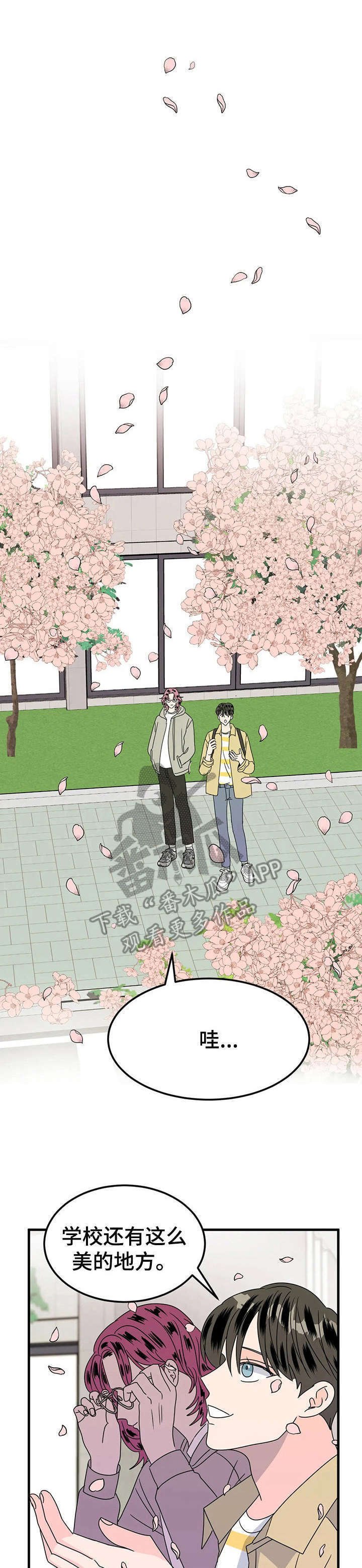第24章： 赏花