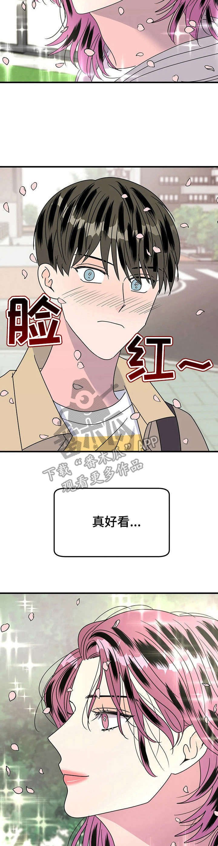第24章： 赏花
