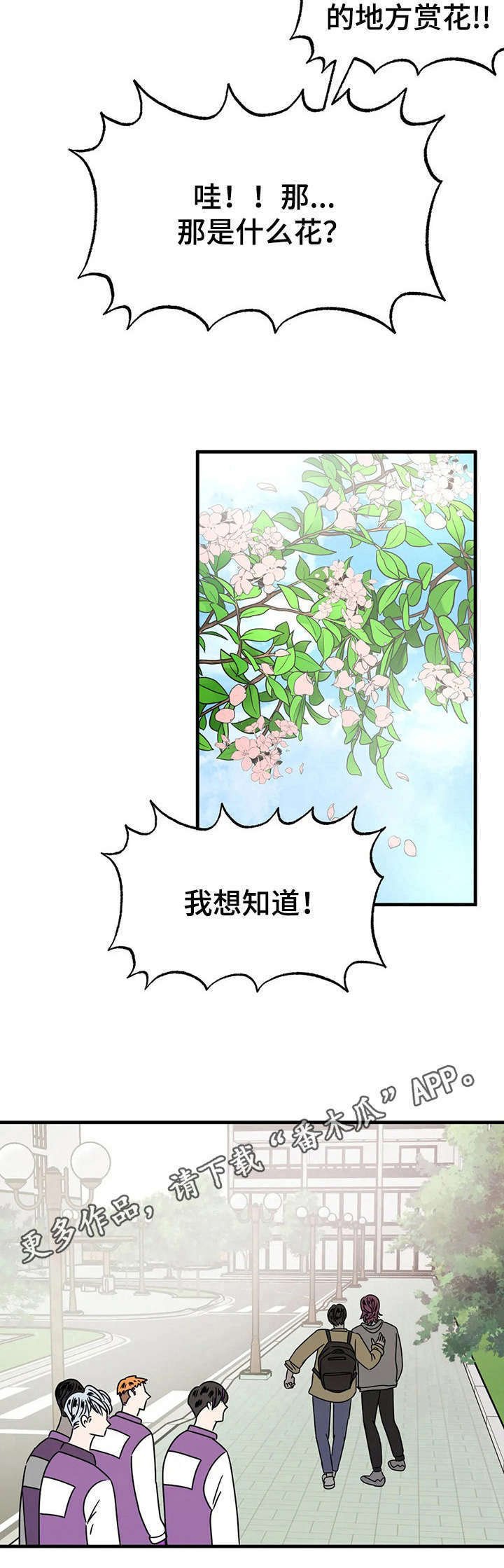 第24章： 赏花