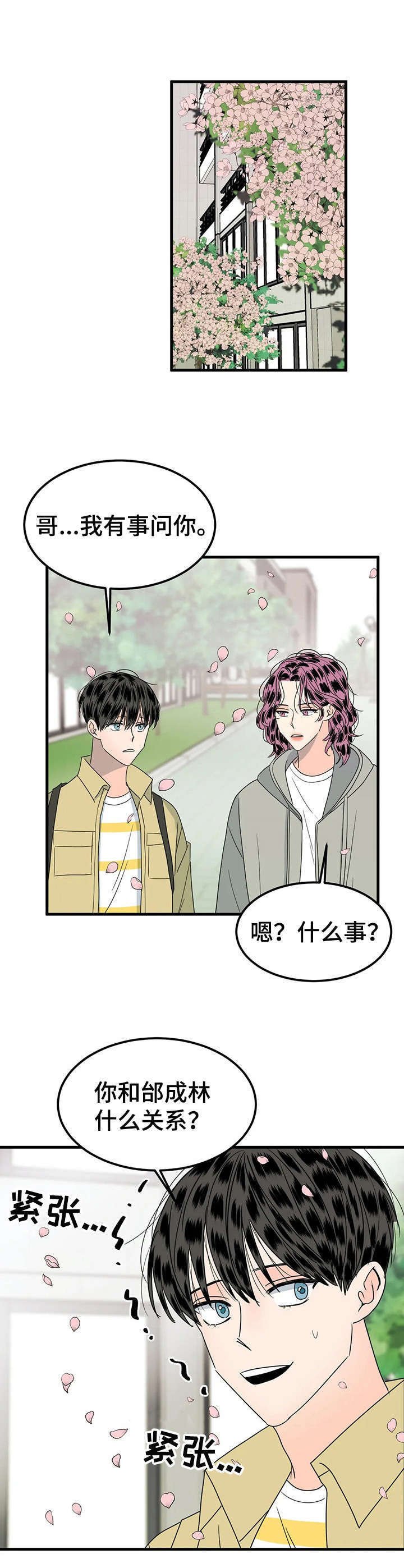 第25章：询问