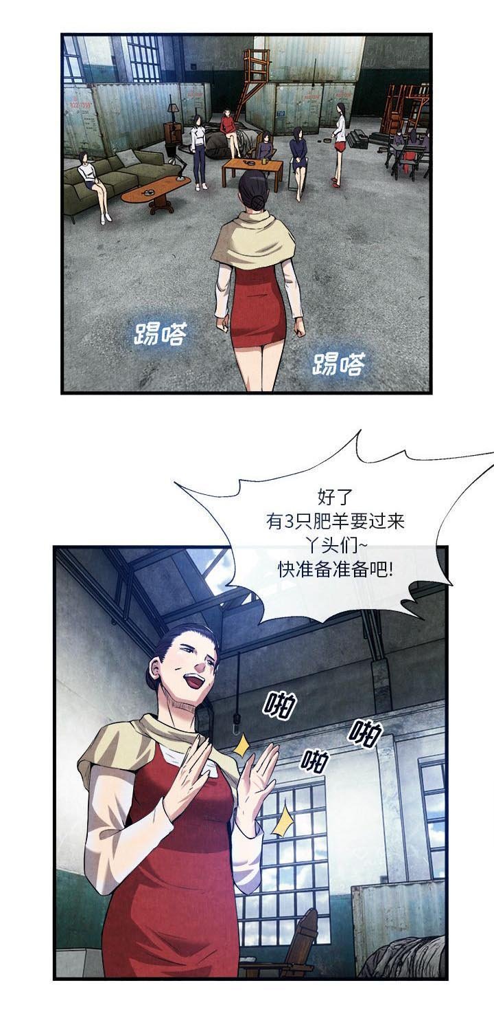 第69章：肥羊来了