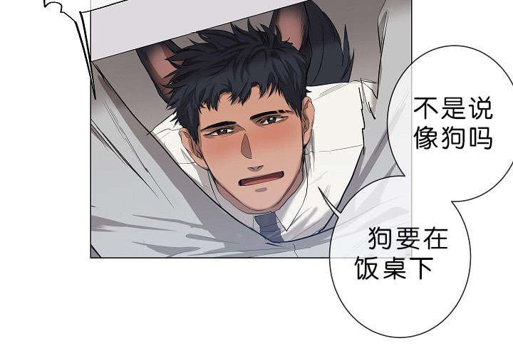 第16章：他的名字真好听