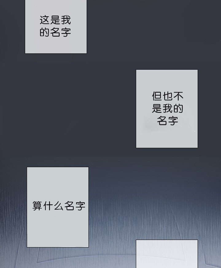 第17章：项目取消
