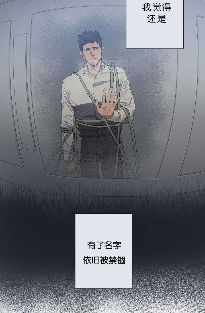 第17章：项目取消