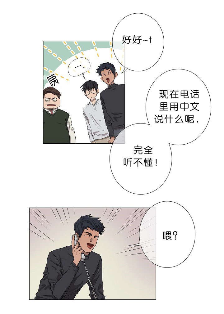 第17章：项目取消
