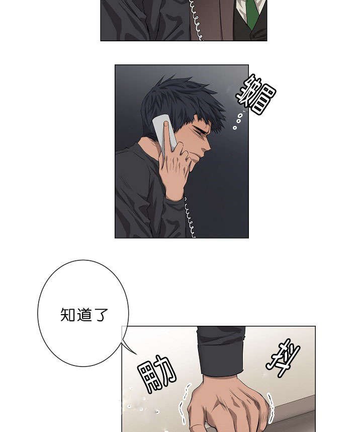 第17章：项目取消