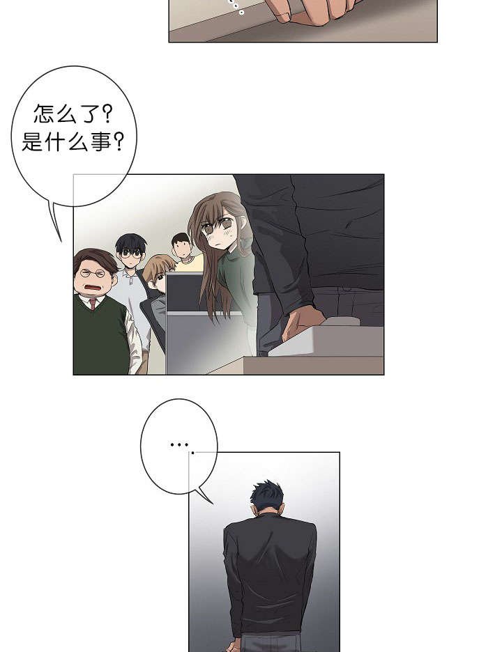 第17章：项目取消