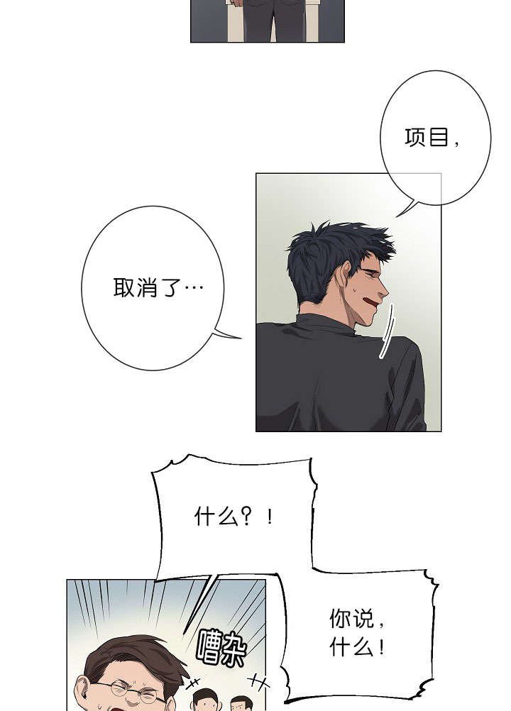第17章：项目取消