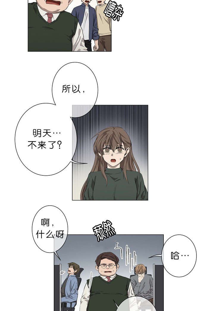 第17章：项目取消