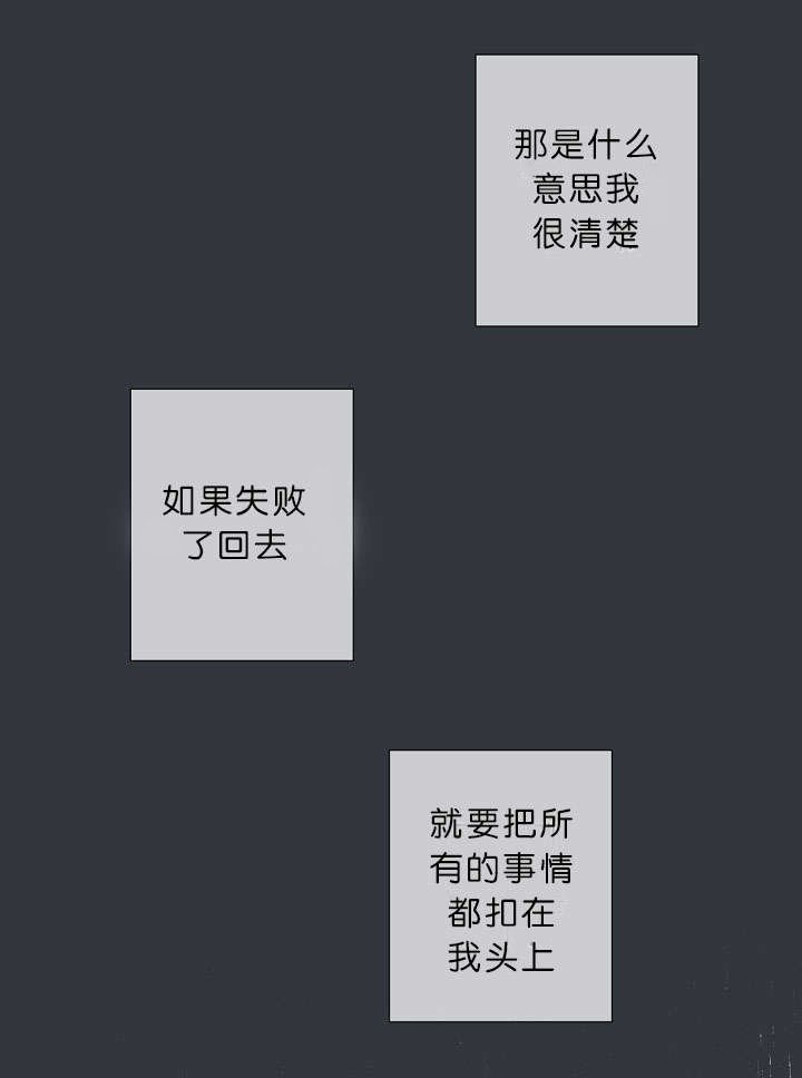 第17章：项目取消