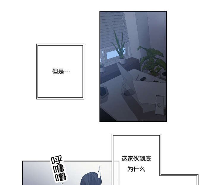 第29章：到底为什么
