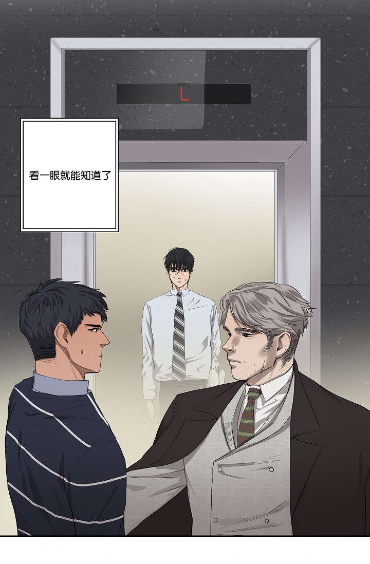 第29章：到底为什么