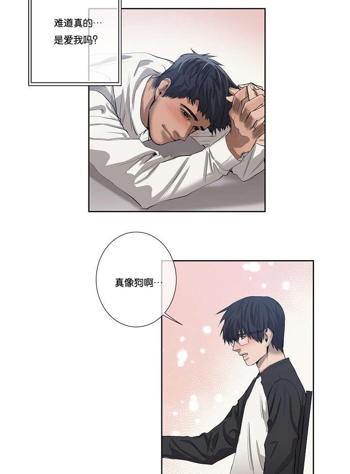 第30章：解决