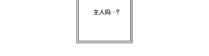 第30章：解决