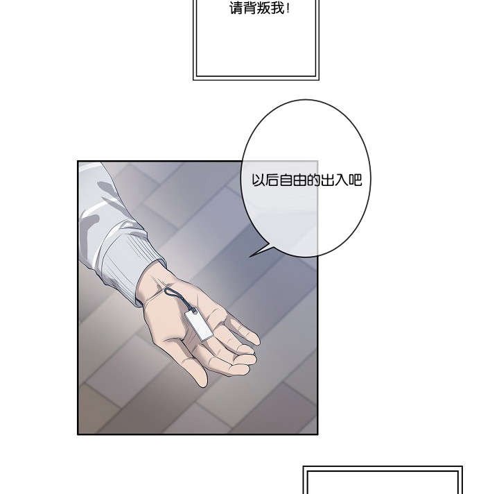 第31章：各种计谋