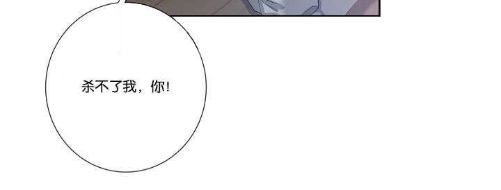 第33章：杀了我吧