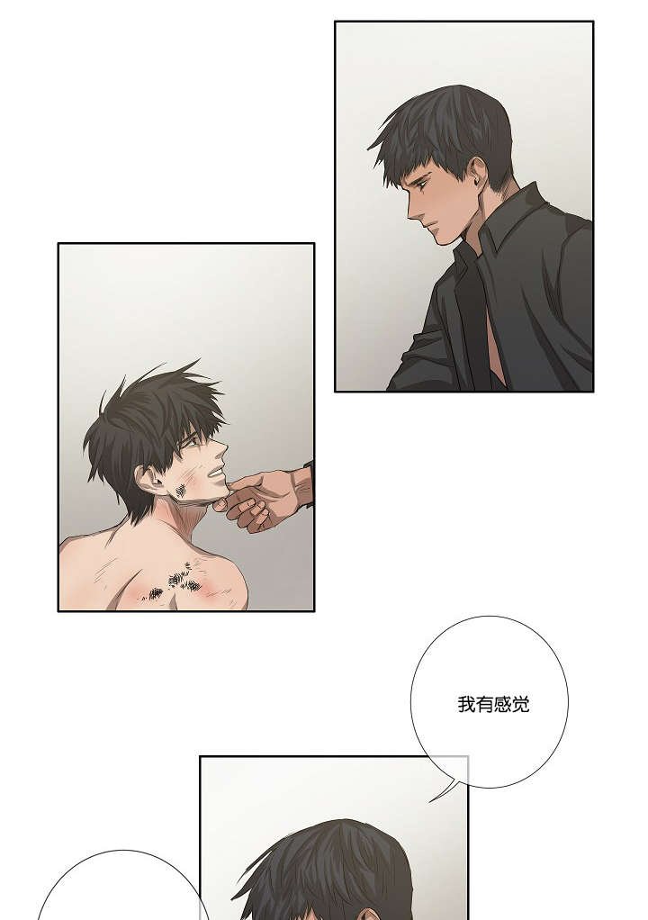 第34章：报复