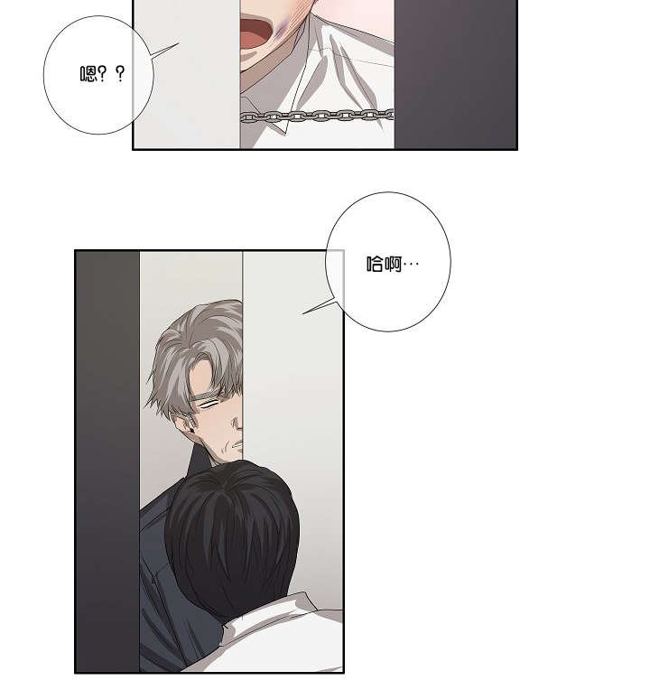 第35章：发现可疑之处