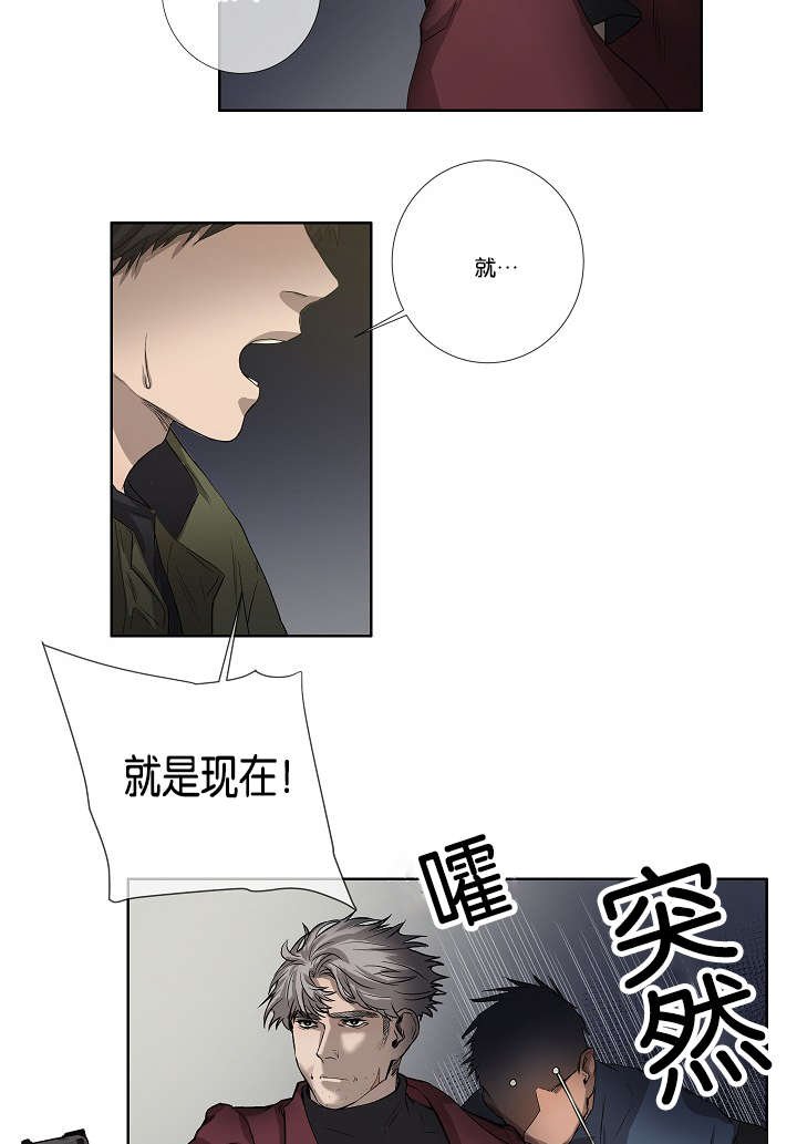 第37章：背叛时间