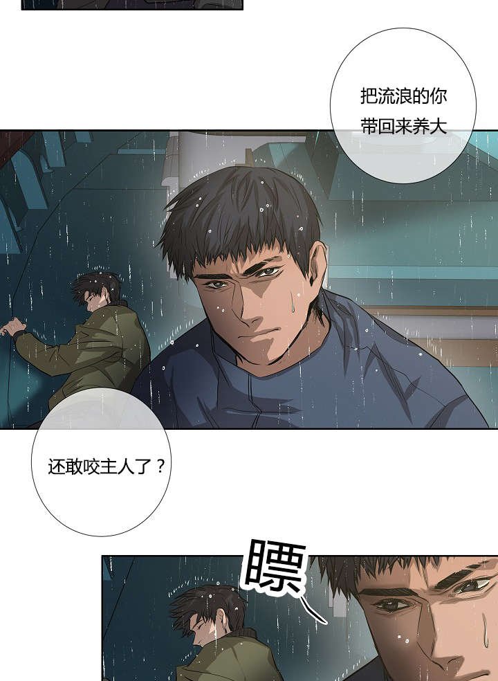 第39章：最后的战斗（下）